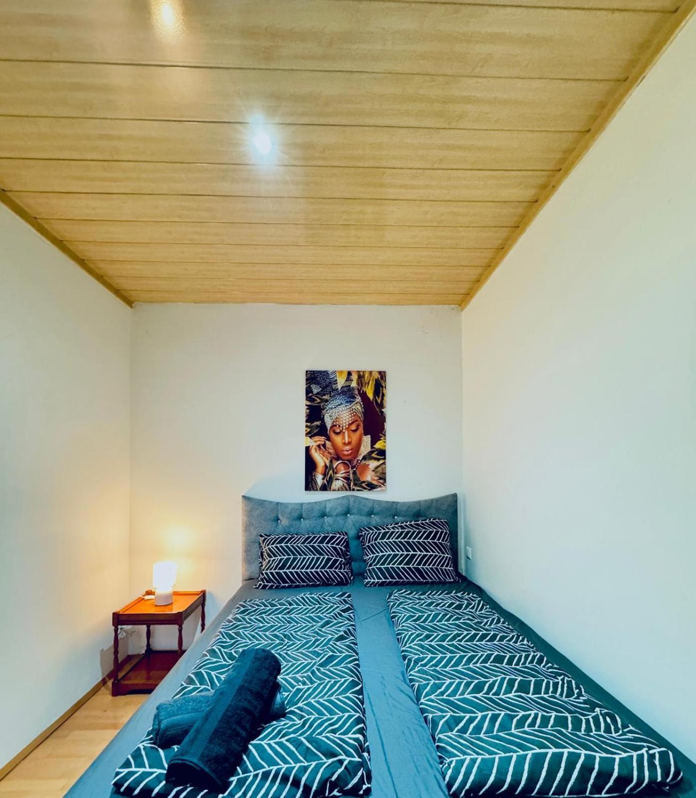 Apartment Cozy 4br For Up To 12people, 10minutes To Fac Platz Wien